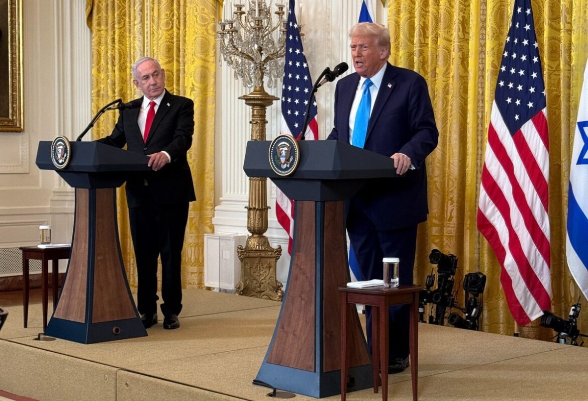 bibi-djt2