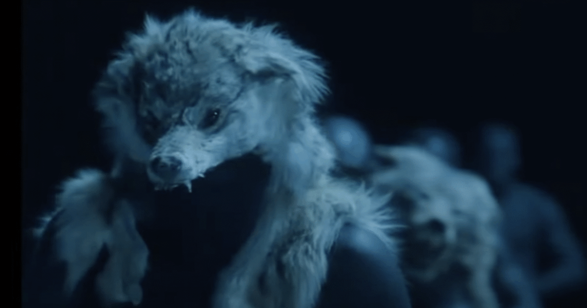 screenshot-2025-05-09-at-13.11.58-1200×630